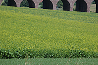 Auetal - Viadukt A2 bei �lbergen