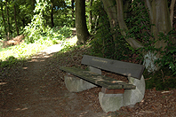 Maiweg-19-Oberberg-Waldrand-Deckbergen