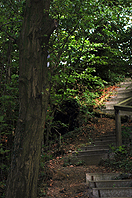 Zum Kammweg Oberberg-2