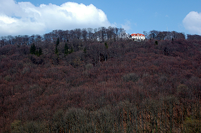 Paschenburg-2 -14 cm