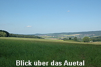 Blick ins Auetal-1