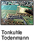 Tonkuhle