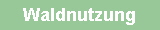 Waldnutzung