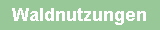 Waldnutzungen